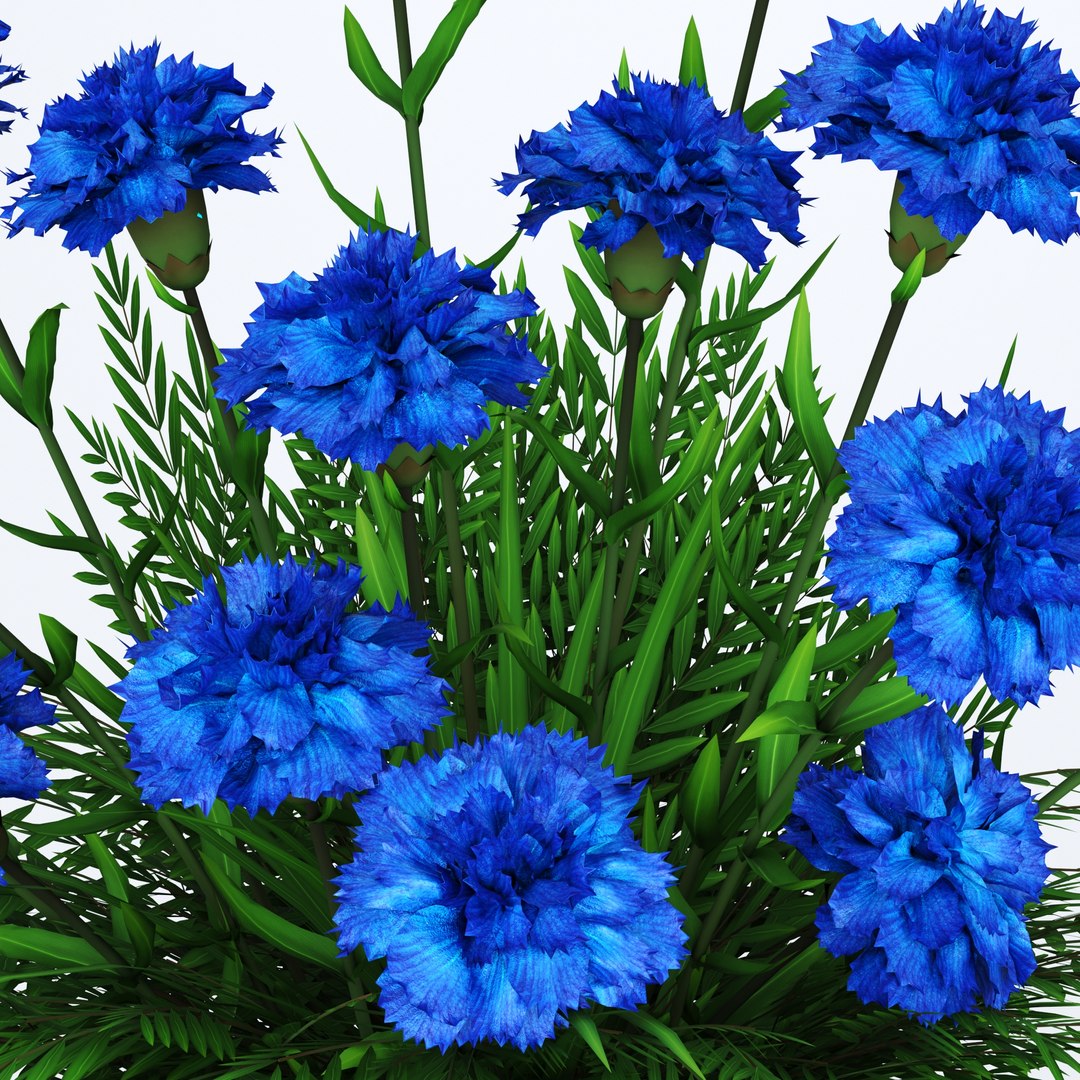 3D model Indoor Plant Flower in a Pot 3D Model https://p.turbosquid.com/ts-thumb/aO/l4S6VU/CR/5/jpg/1696428299/1920x1080/fit_q87/bac4882ae4aecdad06bd03f315a140e132360f26/5.jpg