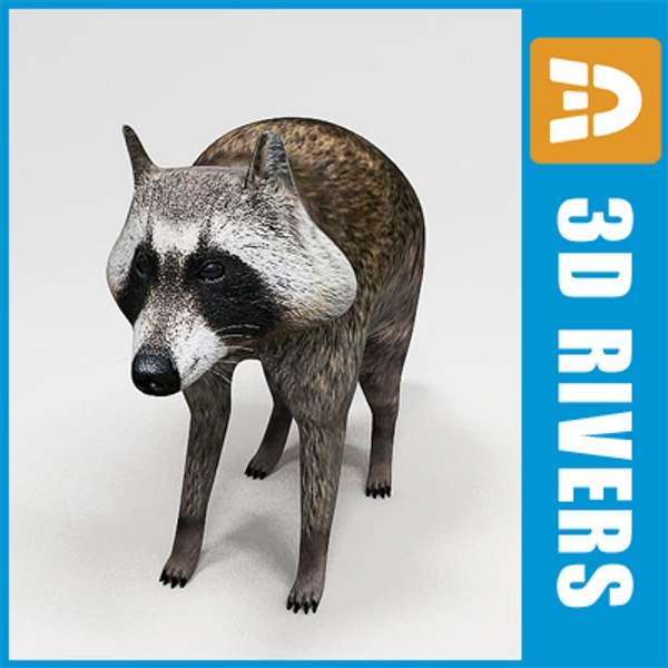 modelo 3d Racoon de 3DRivers - TurboSquid 445150