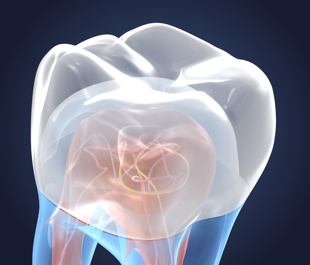 transparent crown endodontics inner 3D https://p.turbosquid.com/ts-thumb/aP/4FFxxF/gbF9ecHv/preview0003/jpg/1532187822/1920x1080/fit_q87/8c0d9f31bab551447a3091f1e8dab4001ae90251/preview0003.jpg