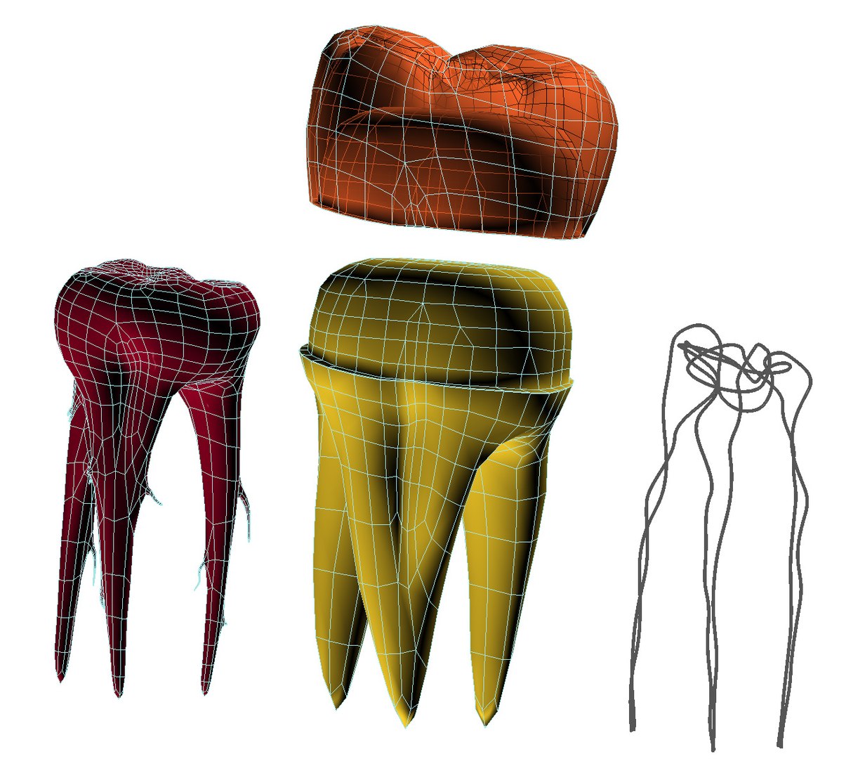 transparent crown endodontics inner 3D https://p.turbosquid.com/ts-thumb/aP/4FFxxF/rLeTDBfm/preview0007/jpg/1532187822/1920x1080/fit_q87/0455034f75c6aa67c0e4018471db251f236cb093/preview0007.jpg