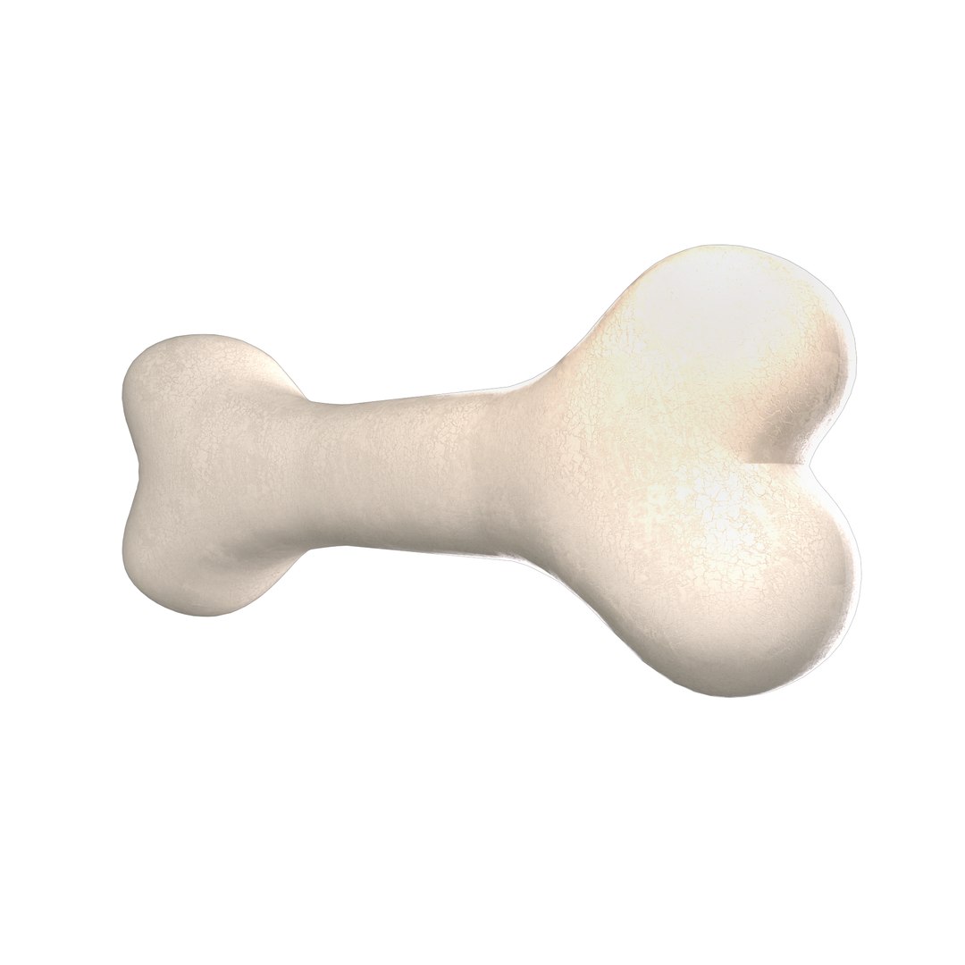 3D Femur Bone model https://p.turbosquid.com/ts-thumb/aP/JFolDA/0l/bone03/png/1737361888/1920x1080/fit_q87/68dd178cff8dbb1f3cb2f38fd55c88eb34cf1eab/bone03.jpg