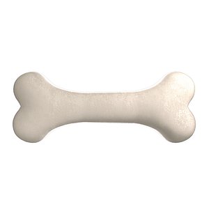 3D Femur Bone model