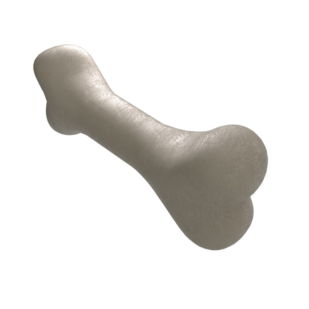 3D Femur Bone model https://p.turbosquid.com/ts-thumb/aP/JFolDA/kz/bone05/png/1737361890/1920x1080/fit_q87/58c9fb8bbe2368f0a91817b3f7d41332b797762d/bone05.jpg