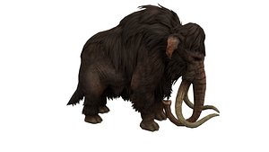 Elephant Animated 3D model