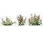 HighPolyLowPoly Lamium maculatum - 斑点荨麻