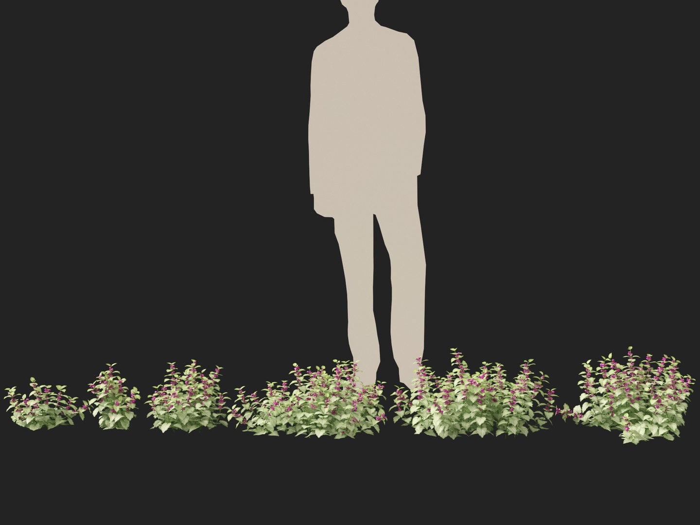 HighPolyLowPoly Lamium maculatum - spotted deadnettle 3D model https://p.turbosquid.com/ts-thumb/aP/RkSQyz/qN/lamiummaculatum012/jpg/1738032281/1920x1080/fit_q87/8f58e0717f7fc45e207dc81a0fcbcf98770c4f49/lamiummaculatum012.jpg