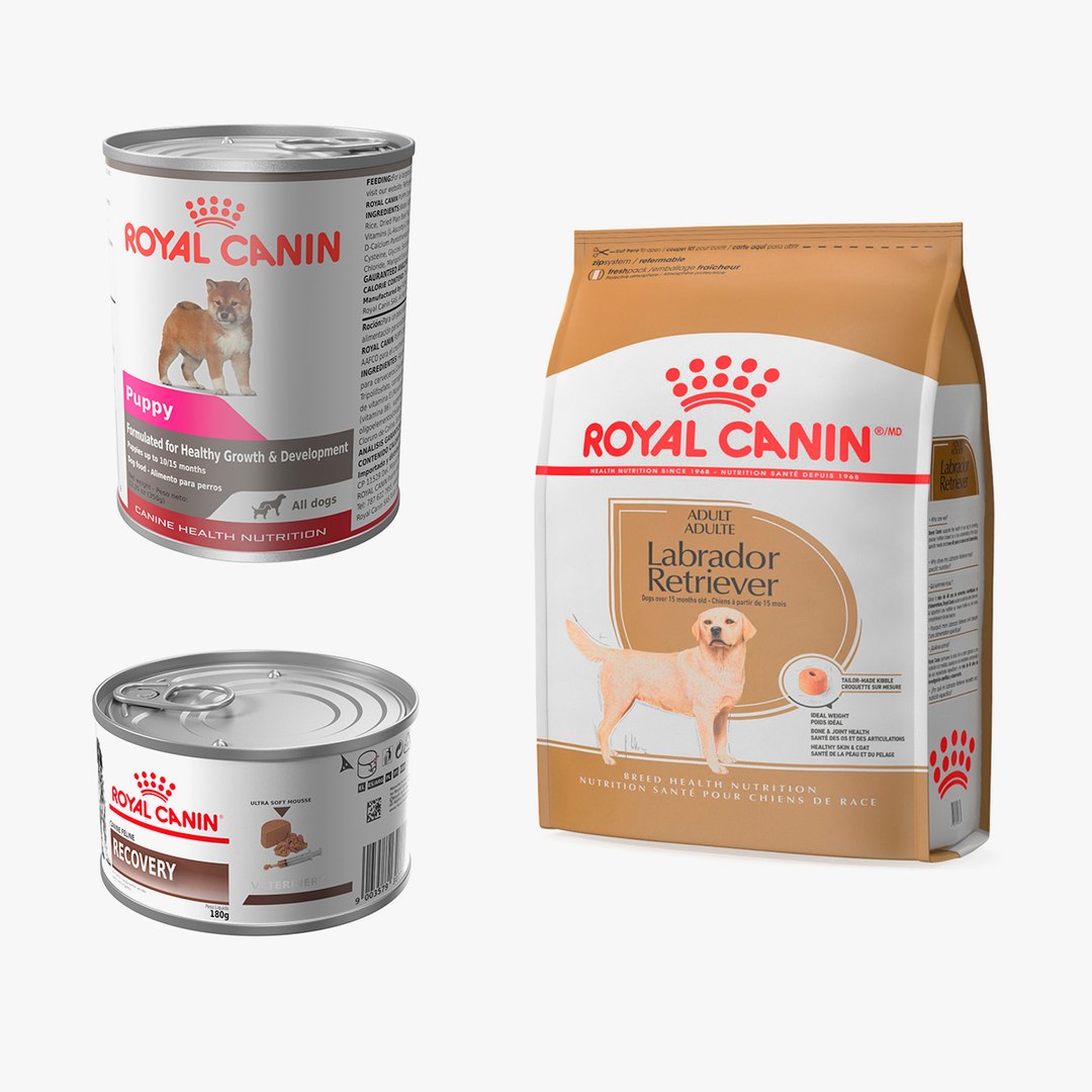 Royal Canin Pet Food Collection 2 3D model https://p.turbosquid.com/ts-thumb/aP/T9nmdy/9u/royalcaninpetfoodcollection23dsmodel000/jpg/1701952299/1920x1080/fit_q87/d9bcf36c5a753425ebc13df326670904dcb27c2d/royalcaninpetfoodcollection23dsmodel000.jpg