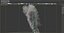 Smoke Plume A_03 - VDB - LargeScale