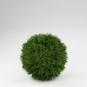 bush 3d model