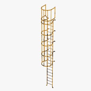 Industrial Access Ladder