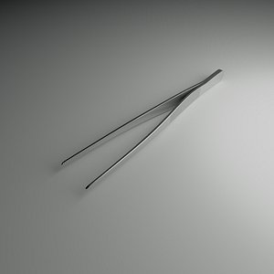 3D model Simple Forceps