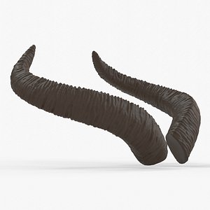 3D Large Swooping Horns - Marie