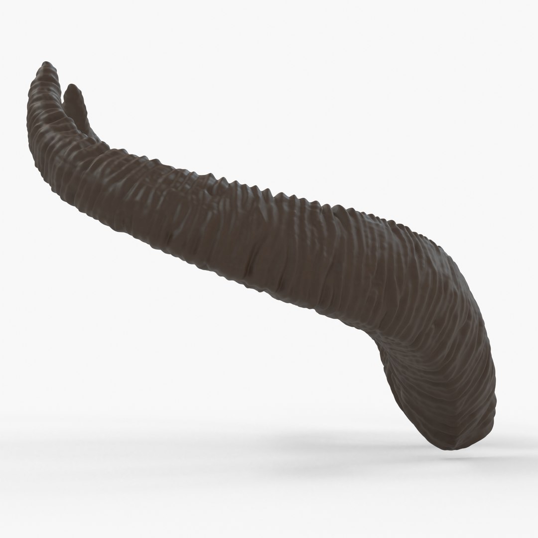 3D Large Swooping Horns - Marie https://p.turbosquid.com/ts-thumb/aP/nmtcyq/nh/marieside/jpg/1636935022/1920x1080/fit_q87/598baf5f8f7d7bc7cdde7d43418a7fd5e1d48737/marieside.jpg