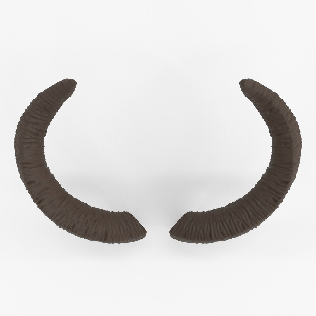 3D Large Swooping Horns - Marie https://p.turbosquid.com/ts-thumb/aP/nmtcyq/v9/marietop/jpg/1636935023/1920x1080/fit_q87/7f58a36af112242d17f267ea15c37817dd77effc/marietop.jpg