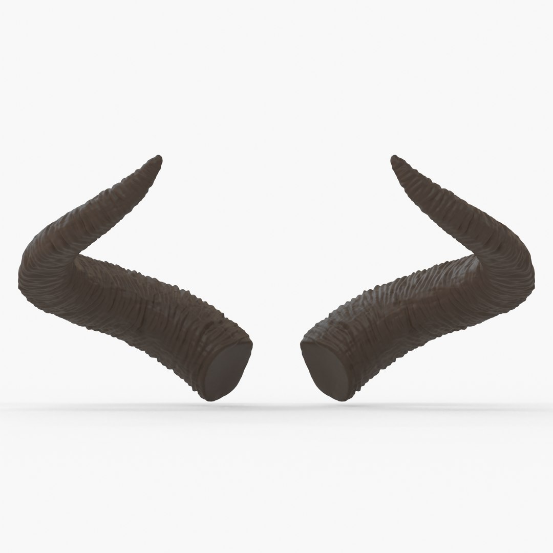 3D Large Swooping Horns - Marie https://p.turbosquid.com/ts-thumb/aP/nmtcyq/wr/marieback/jpg/1636935023/1920x1080/fit_q87/6c3fbcb7154c0f4ac5d4b3491143ab7f88c23d94/marieback.jpg