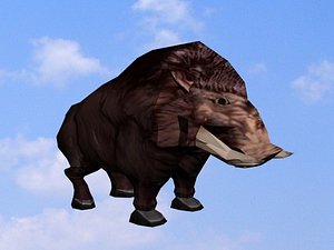 free max model boar
