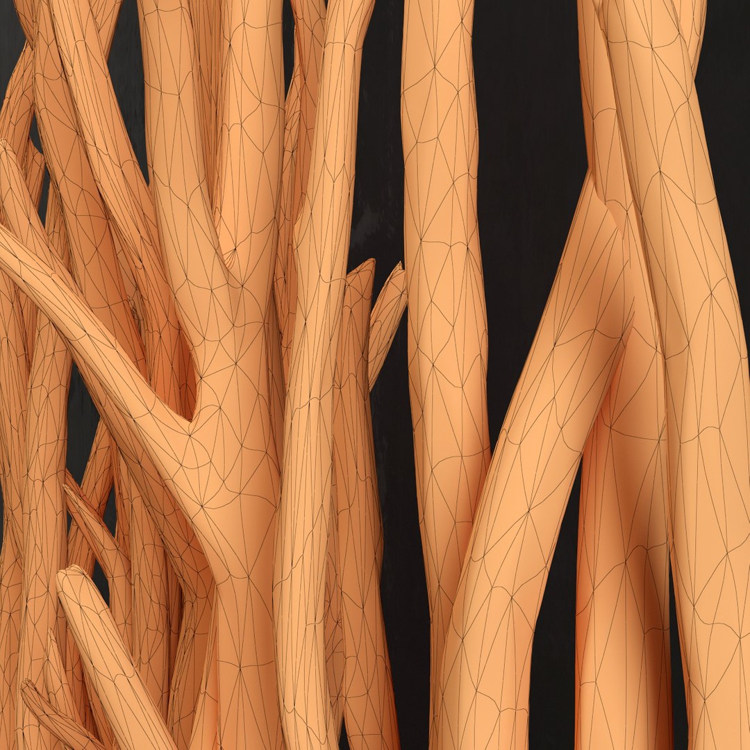 branch old wall 3D model https://p.turbosquid.com/ts-thumb/aQ/2YlVAl/EnVE1e1H/r13/jpg/1586014993/1920x1080/fit_q87/7c0080af9734877eb6a99baee3104e46873f5456/r13.jpg