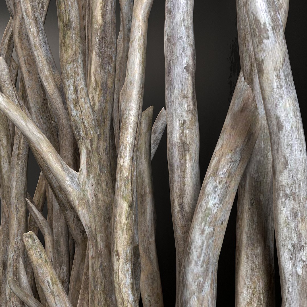 branch old wall 3D model https://p.turbosquid.com/ts-thumb/aQ/2YlVAl/MQgbtJ0N/r5/jpg/1586014993/1920x1080/fit_q87/90727e01c96148e4319611358fc50e0257d10933/r5.jpg