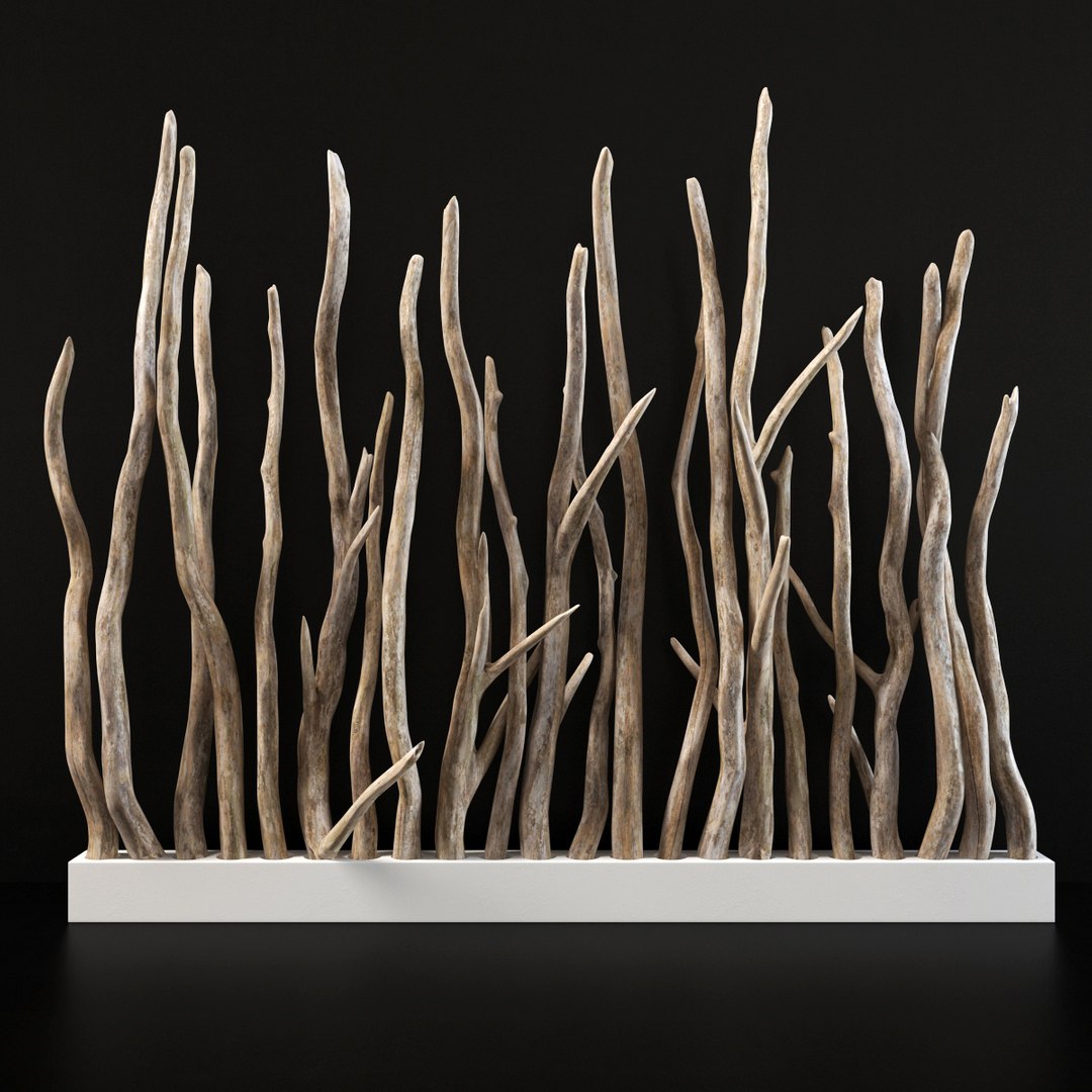 branch old wall 3D model https://p.turbosquid.com/ts-thumb/aQ/2YlVAl/aKRNzxSj/r1/jpg/1586014993/1920x1080/fit_q87/e9830228d1b521ec5de2ff0f3de6e21b5fca9803/r1.jpg