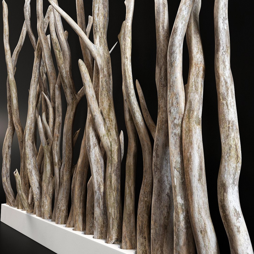 branch old wall 3D model https://p.turbosquid.com/ts-thumb/aQ/2YlVAl/owgqUuAL/r2/jpg/1586014993/1920x1080/fit_q87/284248c6b67f5859c0ec07a5c765d9b9fc871053/r2.jpg