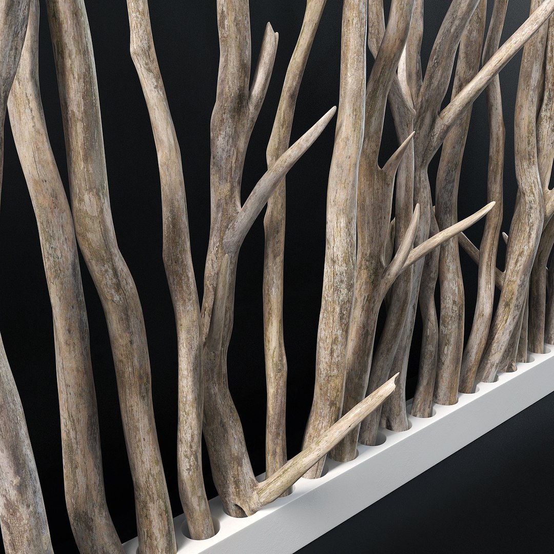 branch old wall 3D model https://p.turbosquid.com/ts-thumb/aQ/2YlVAl/x2iSmzlr/r4/jpg/1586014993/1920x1080/fit_q87/f4ecb80352d18c139ae236625ed1d9b15147a0f7/r4.jpg