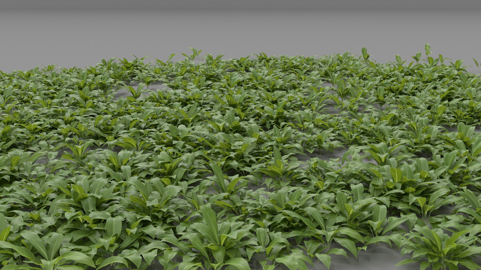 3D wild allium ursinum https://p.turbosquid.com/ts-thumb/aQ/31ElBN/2tEiaBDL/alliumursinum_04/png/1580509605/1920x1080/fit_q87/68fd8446295e9e61802de941b3f38c266da52793/alliumursinum_04.jpg