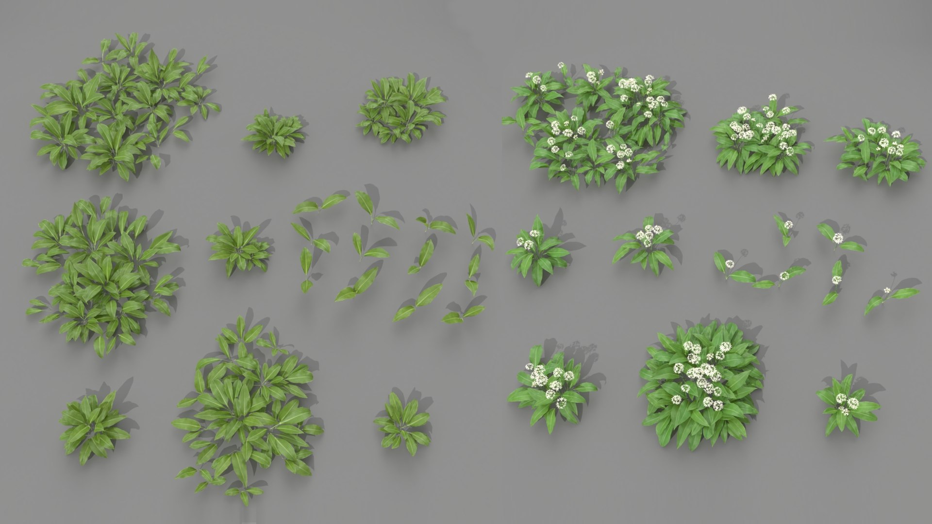 3D wild allium ursinum https://p.turbosquid.com/ts-thumb/aQ/31ElBN/8o/00000000/jpg/1638666297/1920x1080/fit_q87/6b8a05f7785793244e1f869c70e68d7106ab3646/00000000.jpg