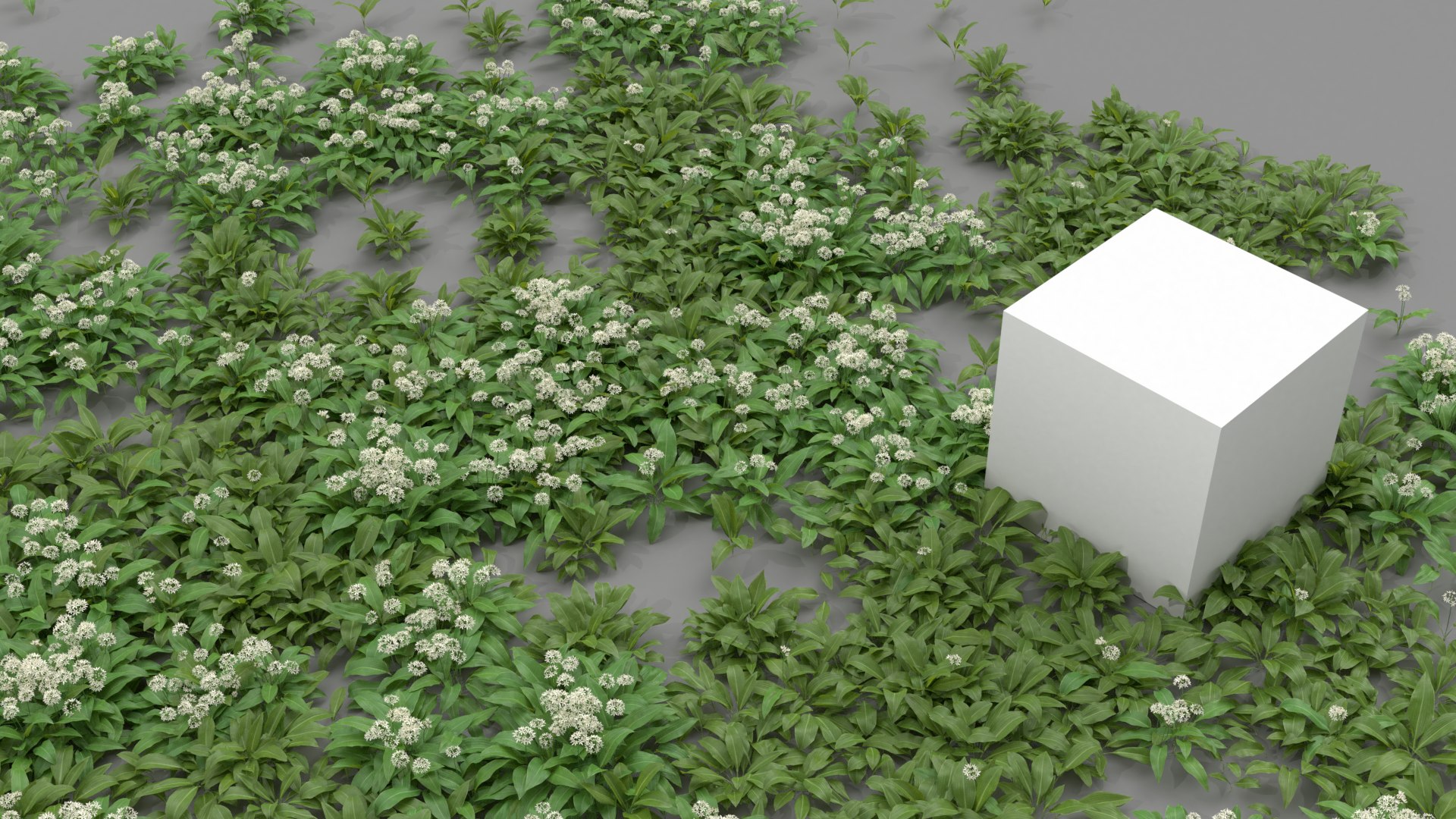 3D wild allium ursinum https://p.turbosquid.com/ts-thumb/aQ/31ElBN/F875F01A/alliumursinum_05/png/1580509617/1920x1080/fit_q87/2c09ab69459e2b67cfd256c4c7de87607a398816/alliumursinum_05.jpg