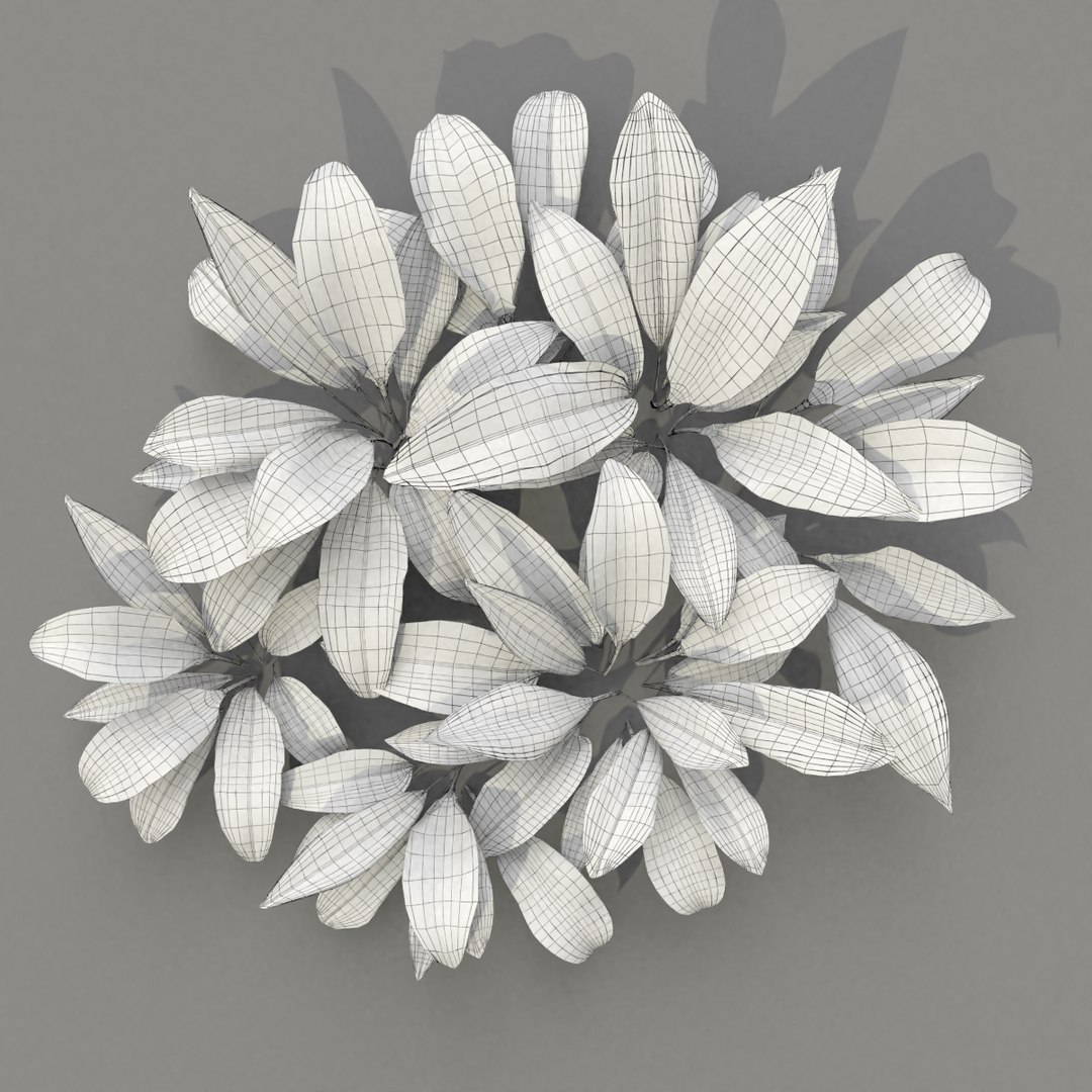 3D wild allium ursinum https://p.turbosquid.com/ts-thumb/aQ/31ElBN/TIXhJh3t/alliumursinum_wire12/png/1580510010/1920x1080/fit_q87/999d5e9ce9db7d5e6bfbbef7ddd208e7523353cd/alliumursinum_wire12.jpg