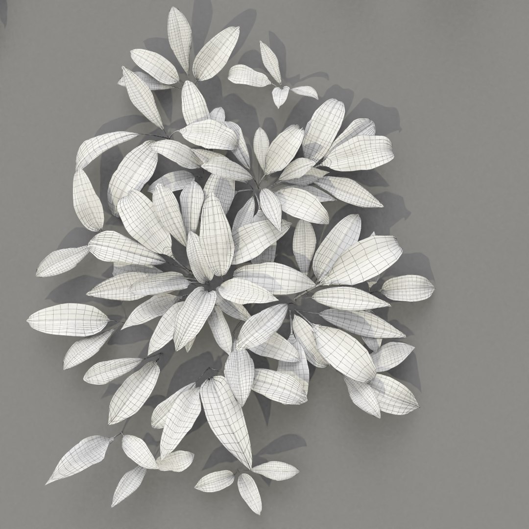 3D wild allium ursinum https://p.turbosquid.com/ts-thumb/aQ/31ElBN/XjVezM7Z/alliumursinum_wire09/png/1580509922/1920x1080/fit_q87/49cae20b1a61537a24a5d16fe47f192cdc255aab/alliumursinum_wire09.jpg