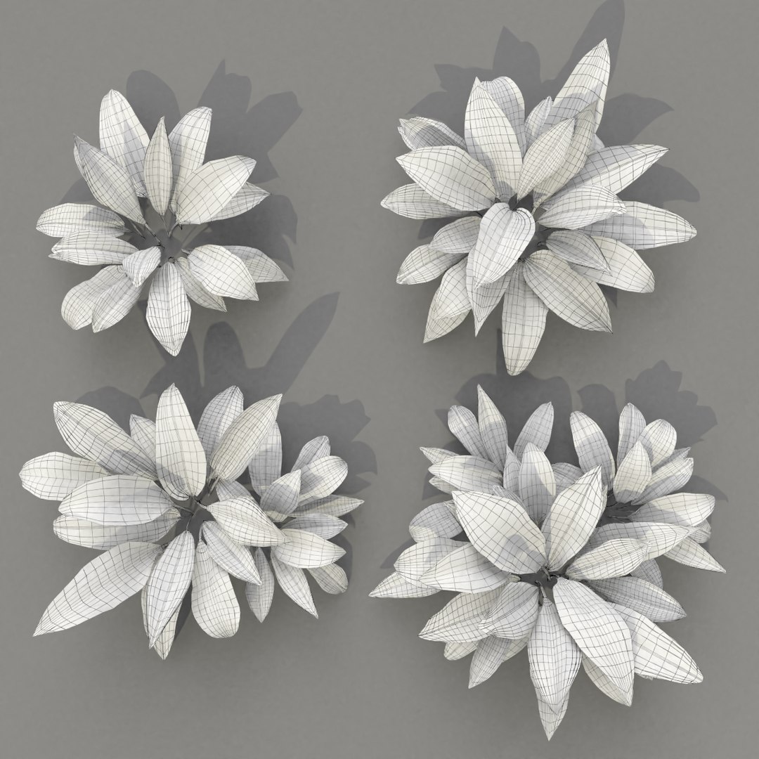 3D wild allium ursinum https://p.turbosquid.com/ts-thumb/aQ/31ElBN/YQRfn4aM/alliumursinum_wire11/png/1580509996/1920x1080/fit_q87/53f30eb99f5dda1e9fab2c483e28058411602a91/alliumursinum_wire11.jpg