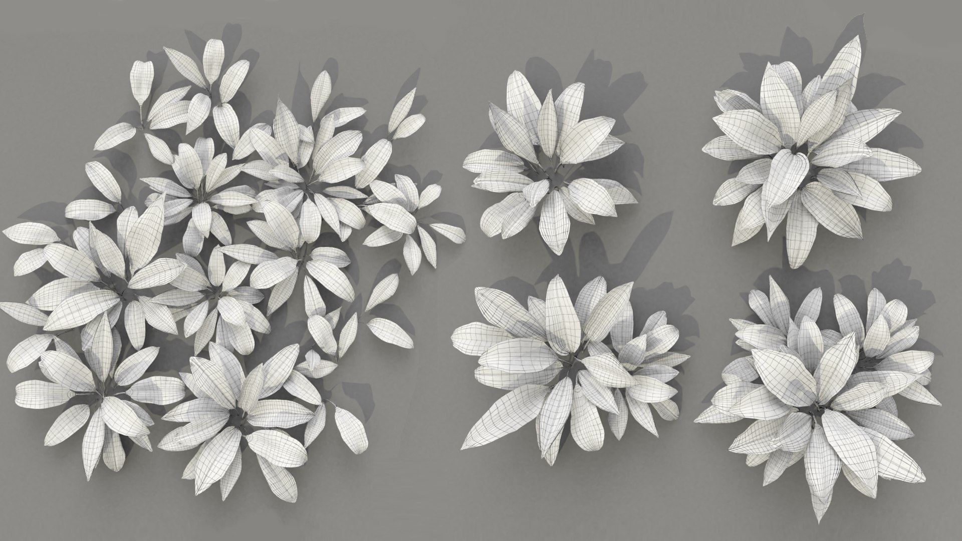 3D wild allium ursinum https://p.turbosquid.com/ts-thumb/aQ/31ElBN/dU/11111111/jpg/1638666588/1920x1080/fit_q87/44913c722aa447524022507166c92708d661ab03/11111111.jpg