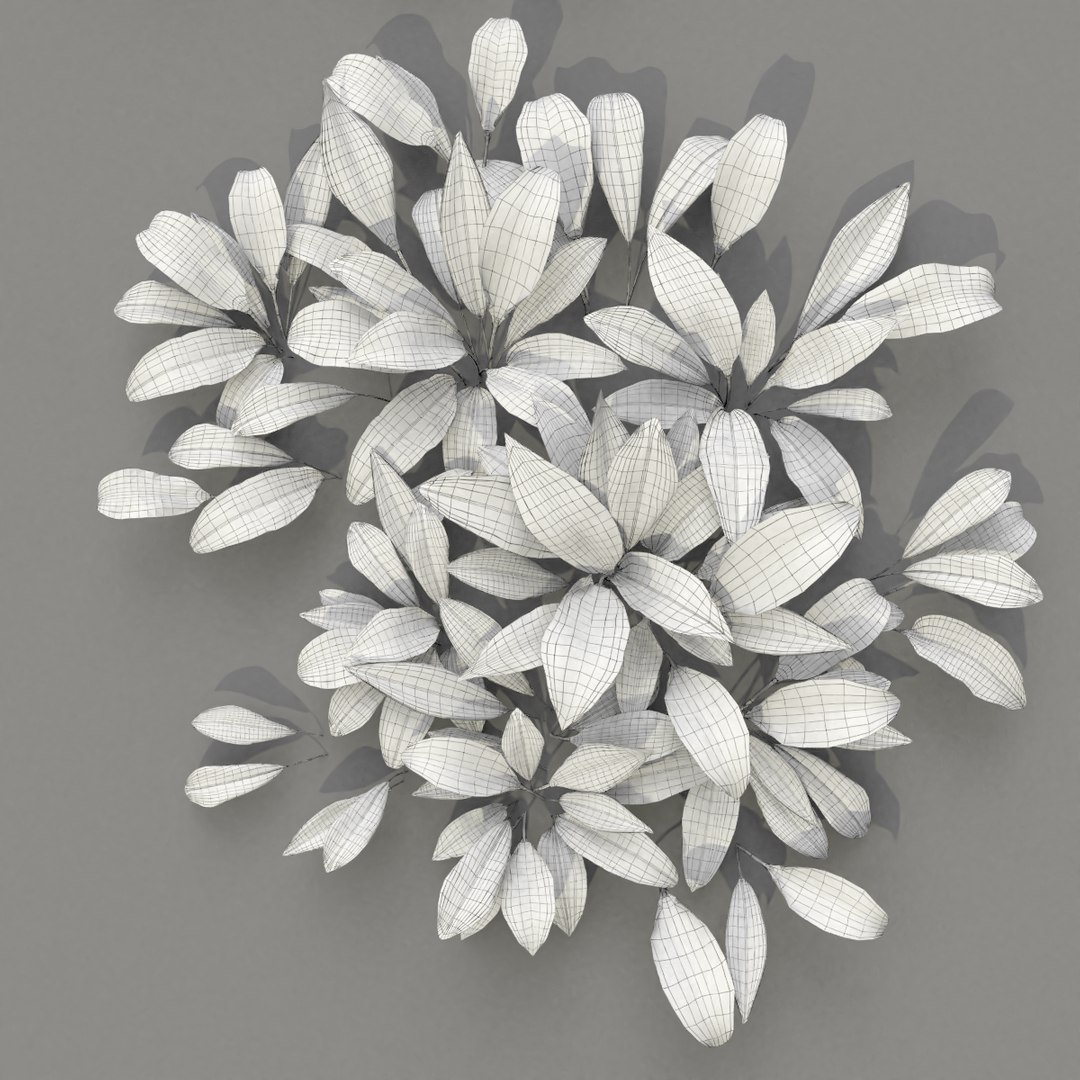 3D wild allium ursinum https://p.turbosquid.com/ts-thumb/aQ/31ElBN/pHJpedaP/alliumursinum_wire08/png/1580509906/1920x1080/fit_q87/db994a39012db22611ddffff7df4465d123bd285/alliumursinum_wire08.jpg