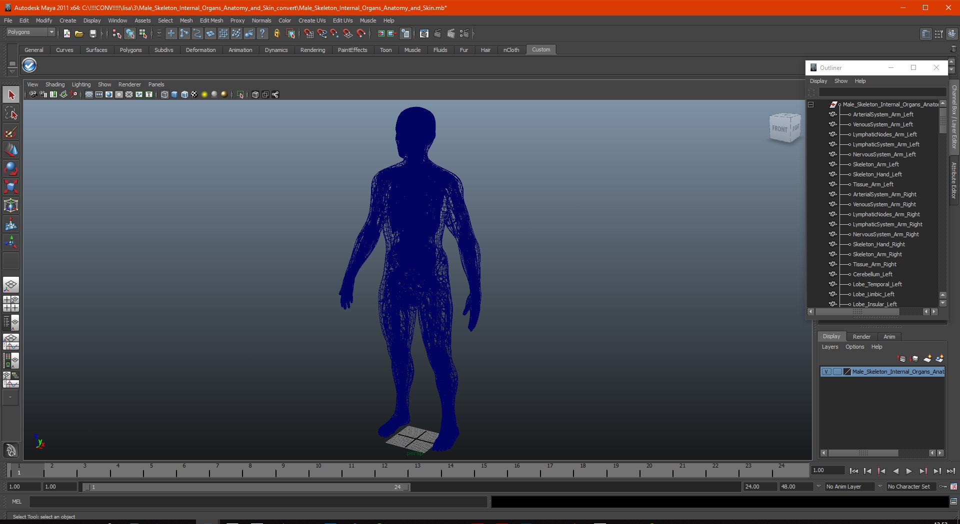 male skeleton internal organs model https://p.turbosquid.com/ts-thumb/aQ/F4cLGi/4PAmGs4X/maleskeletoninternalorgansanatomyandskin3dsmodel165/jpg/1572449916/1920x1080/fit_q87/712c30adbd2393b5c88d56c8a6ac8a119598b9e2/maleskeletoninternalorgansanatomyandskin3dsmodel165.jpg