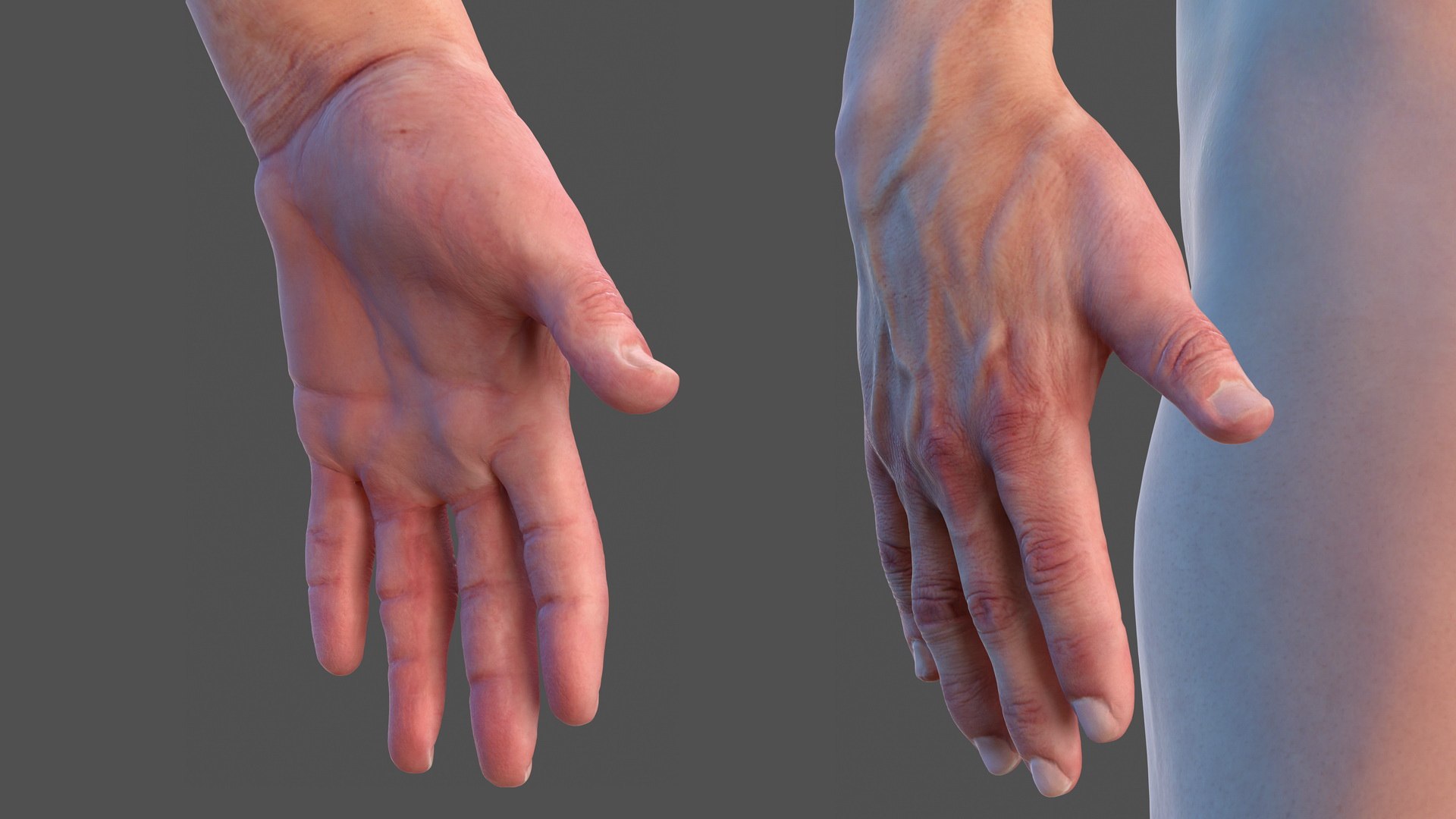 male skeleton internal organs model https://p.turbosquid.com/ts-thumb/aQ/F4cLGi/4Vbsf5B2/maleskeletoninternalorgansanatomyandskin3dsmodel044/jpg/1572449608/1920x1080/fit_q87/efe28de1986a2c3577cc5ec4fd162f25b5aed0a6/maleskeletoninternalorgansanatomyandskin3dsmodel044.jpg