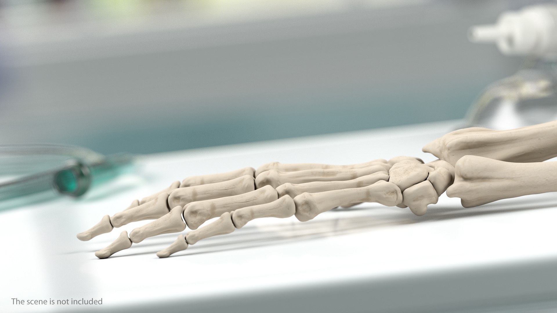 male skeleton internal organs model https://p.turbosquid.com/ts-thumb/aQ/F4cLGi/7c0Q8jdT/maleskeletoninternalorgansanatomyandskin3dsmodel122/jpg/1572449794/1920x1080/fit_q87/fb1acfdcdef4d9064f3e4ed5a11a739a34afdad4/maleskeletoninternalorgansanatomyandskin3dsmodel122.jpg