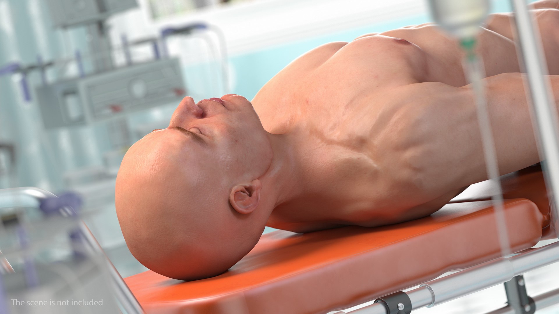 male skeleton internal organs model https://p.turbosquid.com/ts-thumb/aQ/F4cLGi/EA34Lhb7/maleskeletoninternalorgansanatomyandskin3dsmodel160/jpg/1572449886/1920x1080/fit_q87/77a921880d48e830e3e0f41436c90ca65425365a/maleskeletoninternalorgansanatomyandskin3dsmodel160.jpg