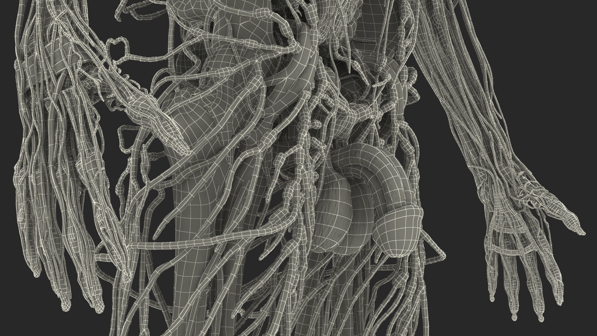 male skeleton internal organs model https://p.turbosquid.com/ts-thumb/aQ/F4cLGi/GOMiKzzC/maleskeletoninternalorgansanatomyandskin3dsmodel173/jpg/1572449954/1920x1080/fit_q87/baec65f0c079e8b184da22842d16e4b9ad07bdac/maleskeletoninternalorgansanatomyandskin3dsmodel173.jpg
