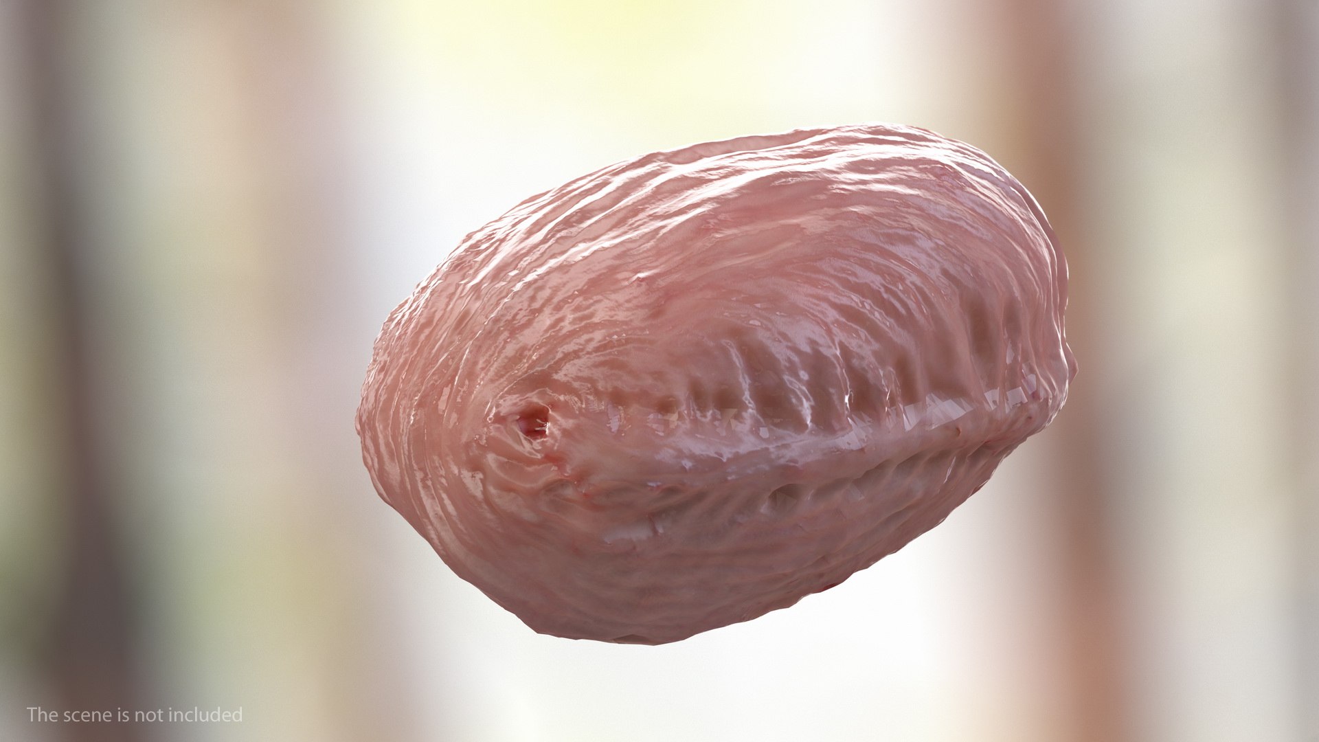 male skeleton internal organs model https://p.turbosquid.com/ts-thumb/aQ/F4cLGi/K2Z82O6g/maleskeletoninternalorgansanatomyandskin3dsmodel112/jpg/1572449770/1920x1080/fit_q87/79d5daf2e990b9def642acf73282bd8aec5e8859/maleskeletoninternalorgansanatomyandskin3dsmodel112.jpg