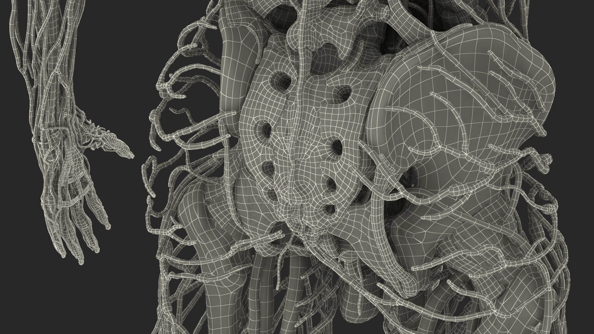 male skeleton internal organs model https://p.turbosquid.com/ts-thumb/aQ/F4cLGi/KYFu6Oc6/maleskeletoninternalorgansanatomyandskin3dsmodel174/jpg/1572449959/1920x1080/fit_q87/67cc6ec15958f74bfacedbc5996b0b8b03ed0a49/maleskeletoninternalorgansanatomyandskin3dsmodel174.jpg