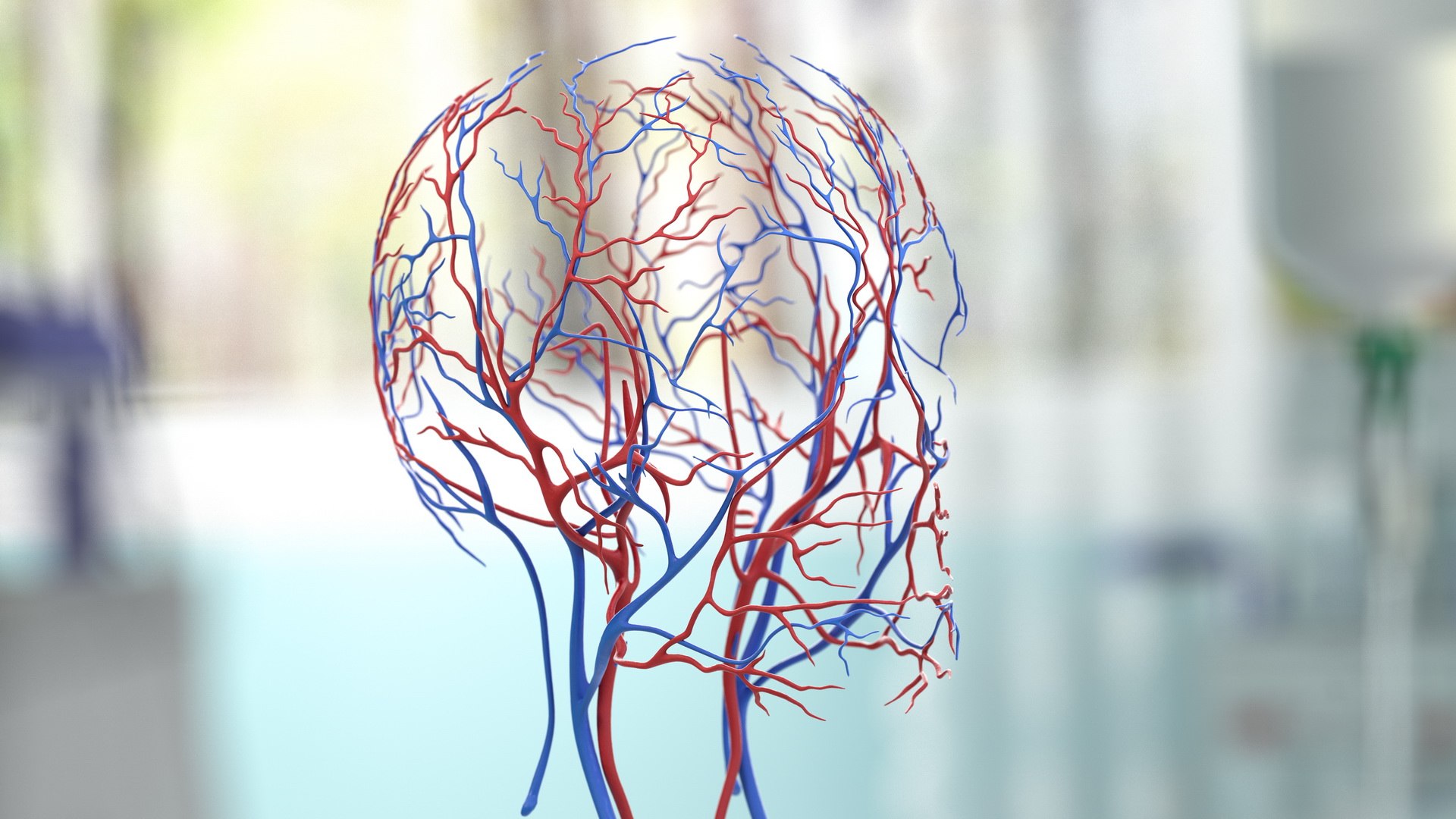 male skeleton internal organs model https://p.turbosquid.com/ts-thumb/aQ/F4cLGi/PxnaqblV/maleskeletoninternalorgansanatomyandskin3dsmodel148/jpg/1572449855/1920x1080/fit_q87/87bc77c610a59dcbb61411214cf407c686cc8919/maleskeletoninternalorgansanatomyandskin3dsmodel148.jpg