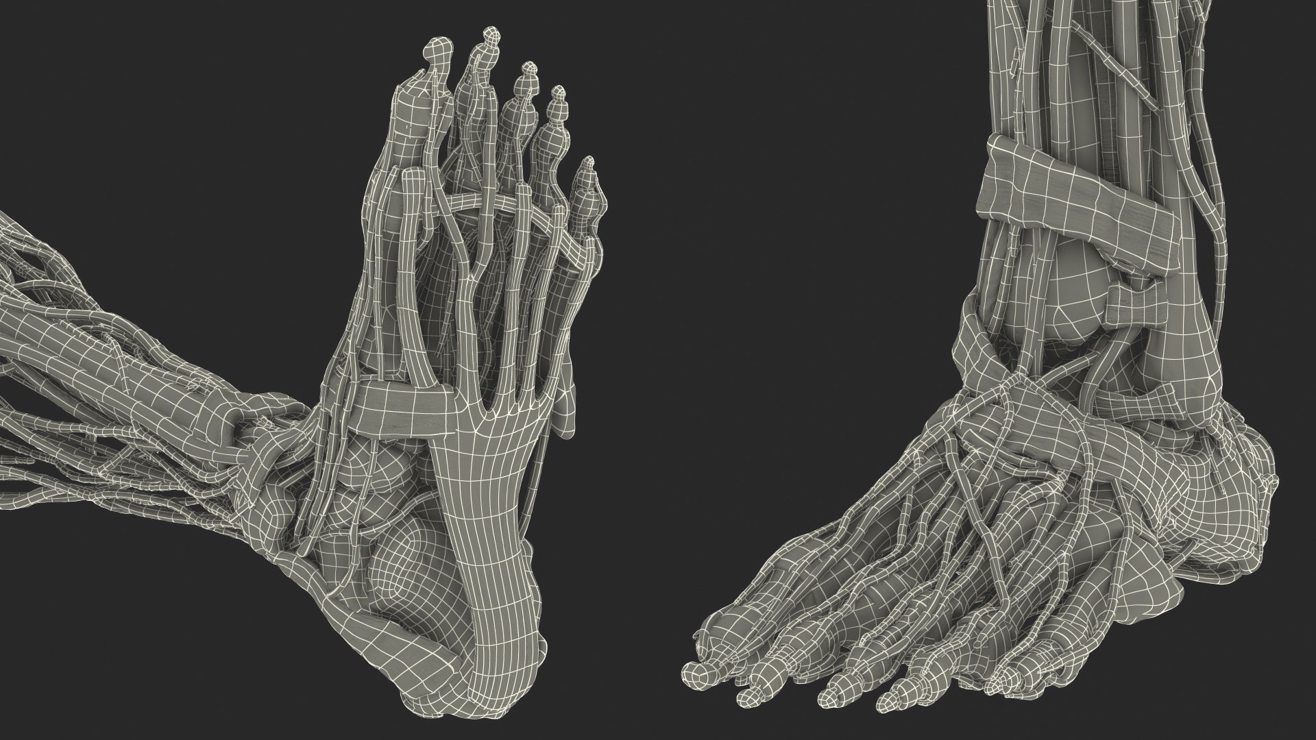 male skeleton internal organs model https://p.turbosquid.com/ts-thumb/aQ/F4cLGi/QdZFoKvB/maleskeletoninternalorgansanatomyandskin3dsmodel175/jpg/1572449964/1920x1080/fit_q87/97d750a1746b87091cefcf16d16d894f03d8649c/maleskeletoninternalorgansanatomyandskin3dsmodel175.jpg