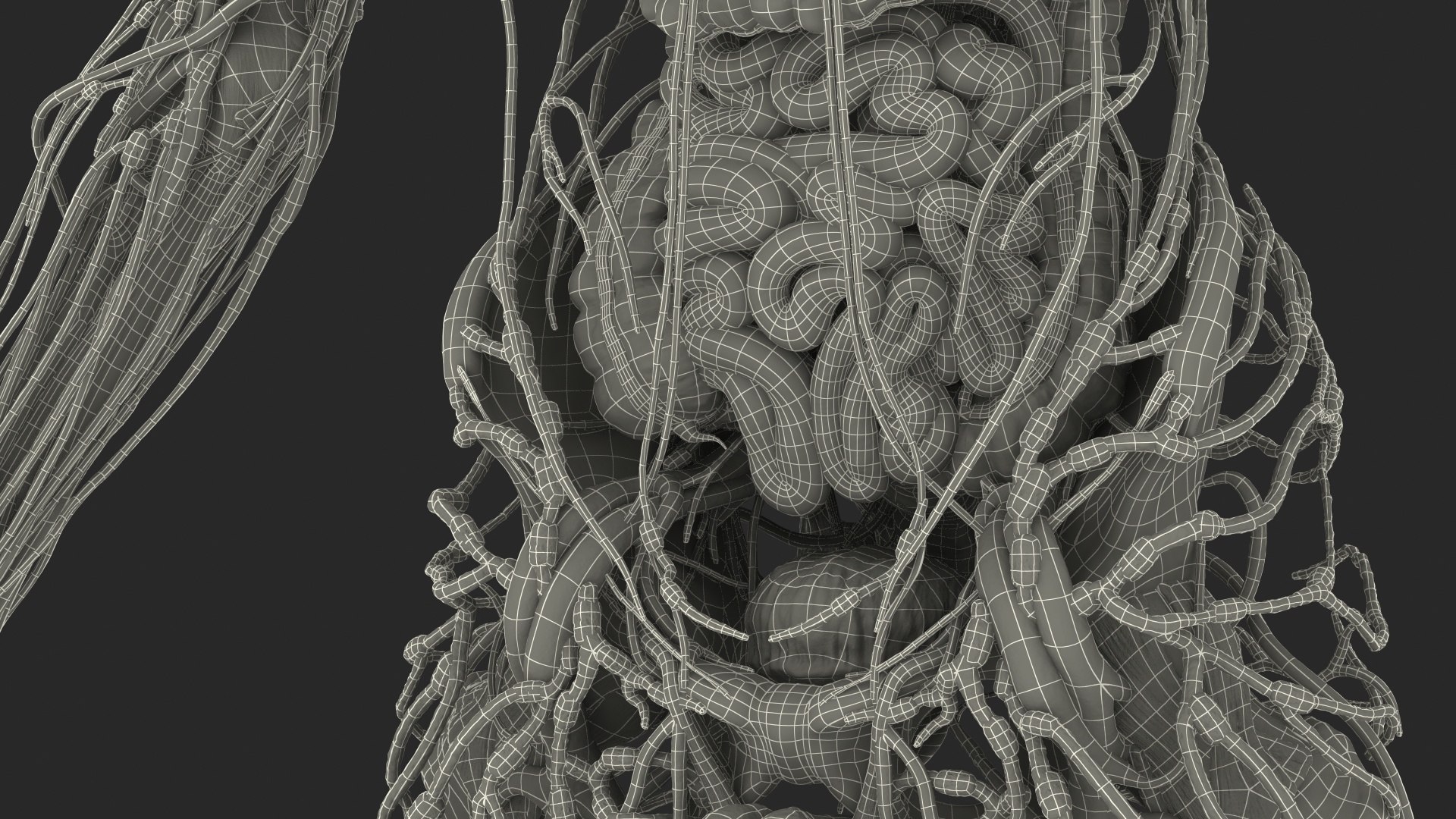 male skeleton internal organs model https://p.turbosquid.com/ts-thumb/aQ/F4cLGi/bhuRw9jl/maleskeletoninternalorgansanatomyandskin3dsmodel172/jpg/1572449949/1920x1080/fit_q87/f792076b0f30132bb0549885a6ab5c32b40fcbf4/maleskeletoninternalorgansanatomyandskin3dsmodel172.jpg