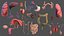 Esqueleto masculino Órganos internos Anatomía y piel