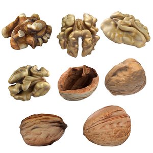 3D Walnut collection model