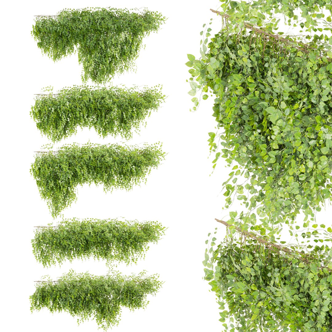 3D Collection Plant Vol 451 - Outdoor - Bush - Ivy - 3dsmax - Cinema 4d ...