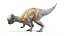3D pachycephalosaurus p model
