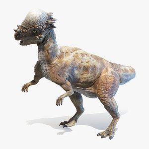 3D pachycephalosaurus p model