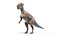 3D pachycephalosaurus p model