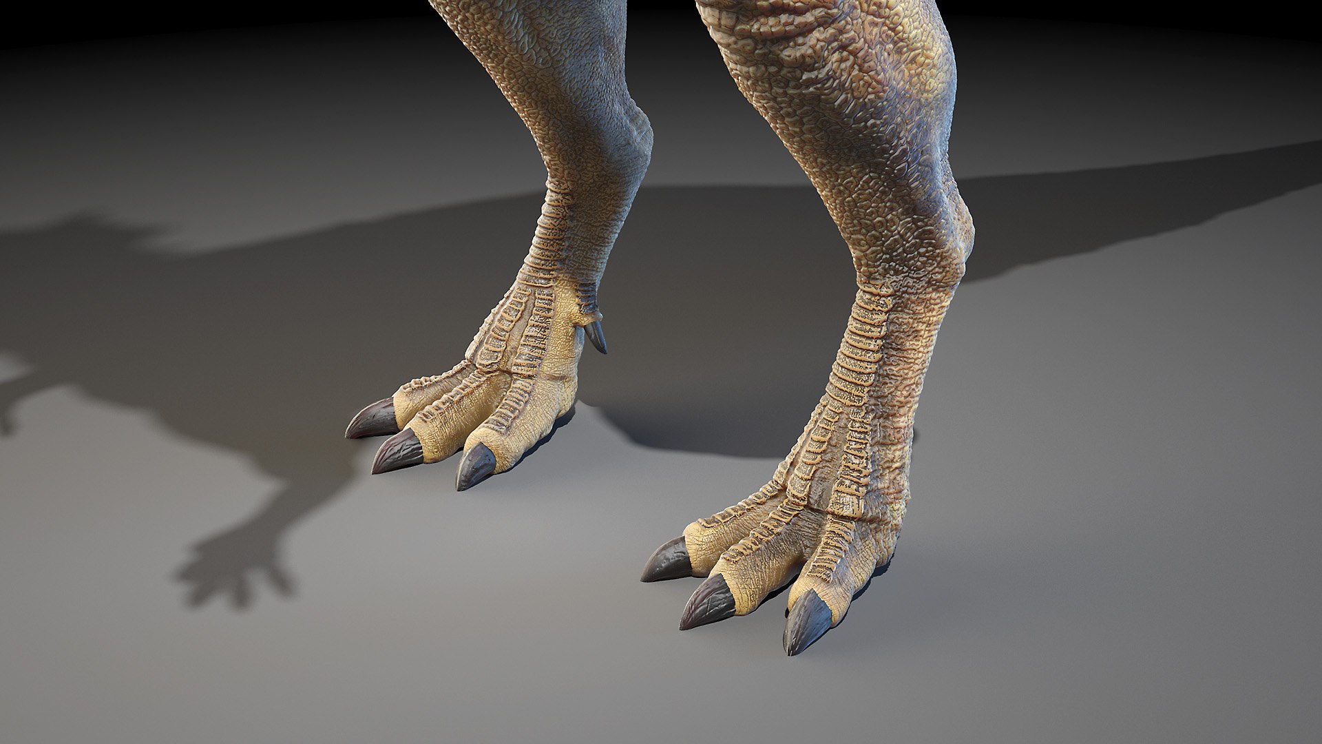 3D Pachycephalosaurus P Model - TurboSquid 1669419